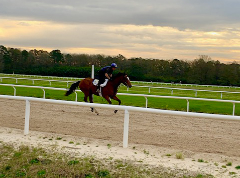 Malathaat at Camden Training Center