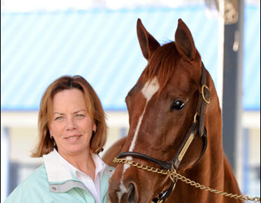 Donna Freyer Custom Care Equine