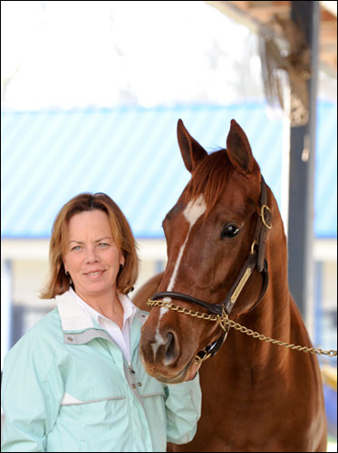 Donna Freyer Custom Care Equine