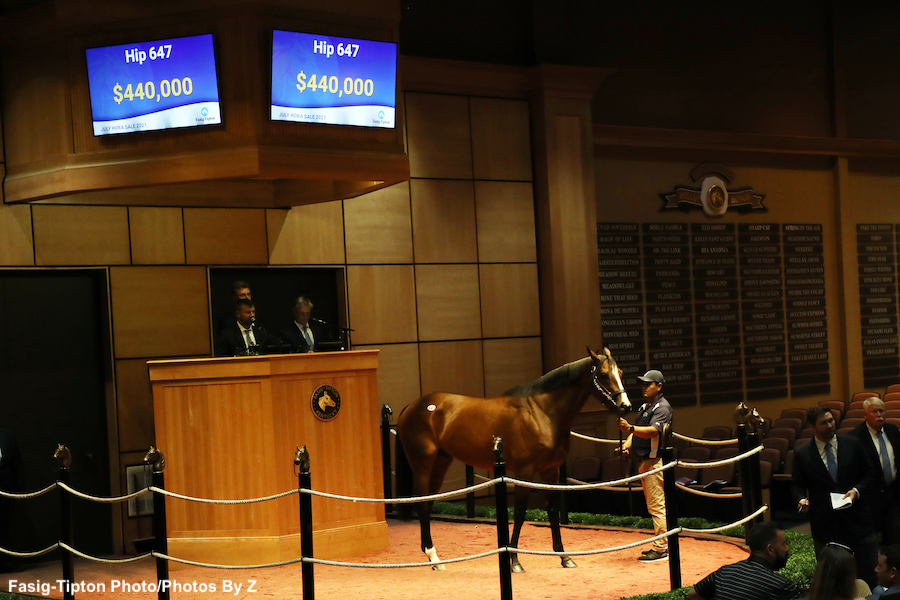 Fasig July HORA & Breeding Stock Sales